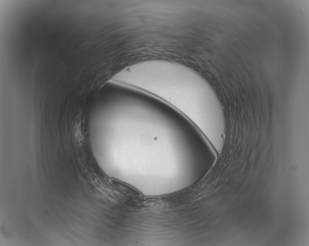 X0000073751250200608031126