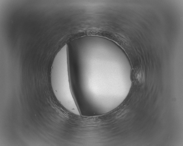 X0000073751252200608031126