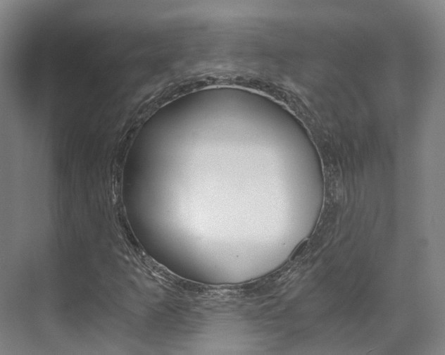 X0000073751253200608031126