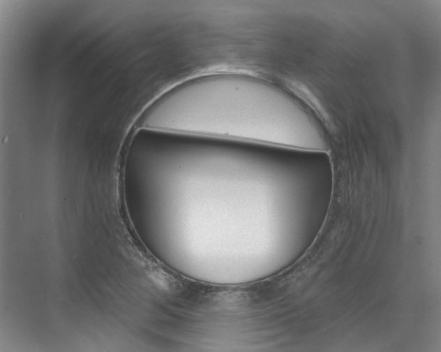 X0000073751268200608031126
