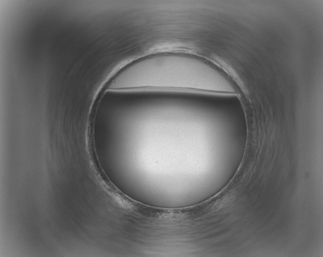 X0000073751277200608031126