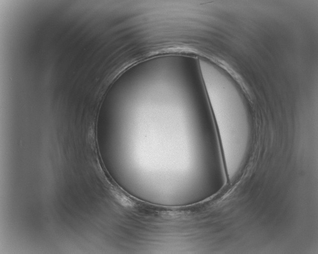X0000073751281200608031126