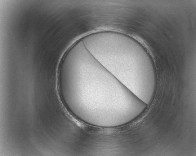 X0000073751286200608031126