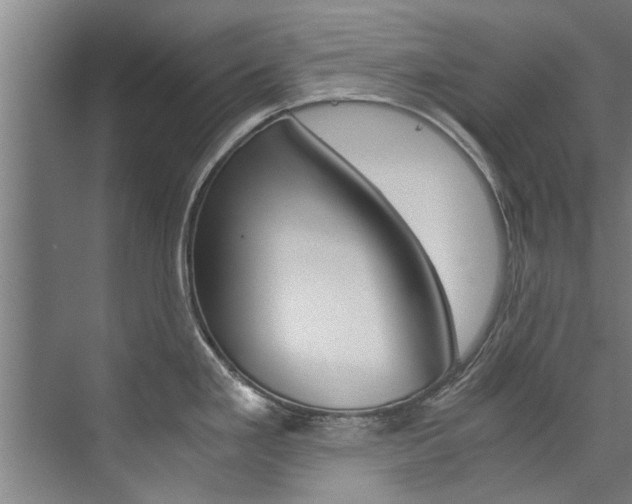 X0000073751293200608031126