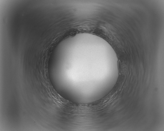 X0000073751297200608031125