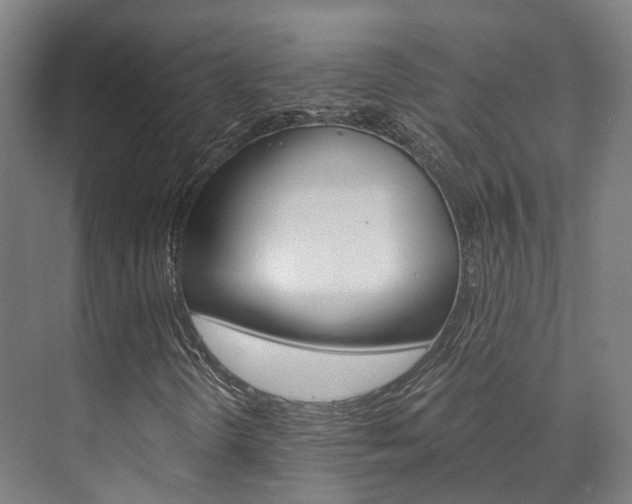 X0000073751298200608031125