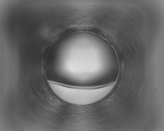 X0000073751300200608031125