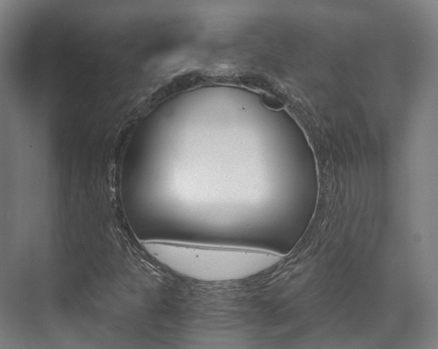 X0000073751301200608031125