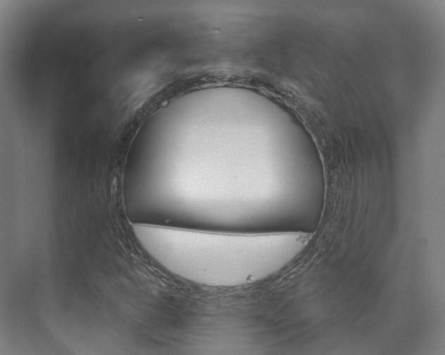 X0000073751302200608031125