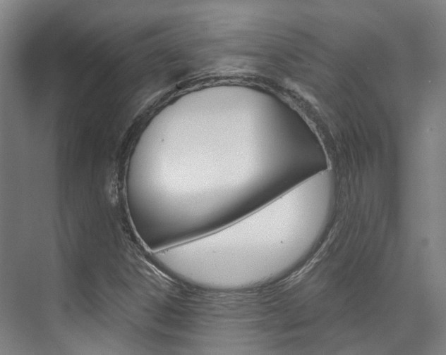 X0000073751306200608031125
