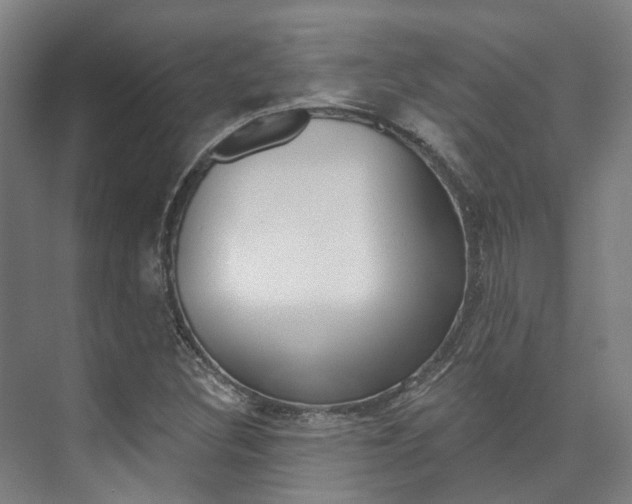 X0000073751308200608031125