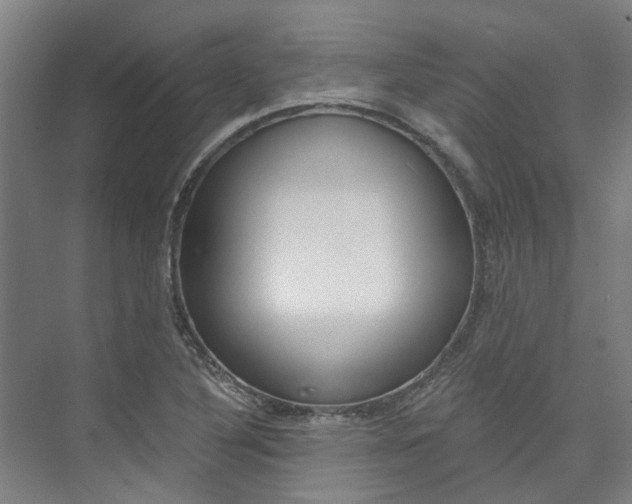 X0000073751316200608031125