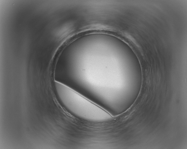 X0000073751318200608031125