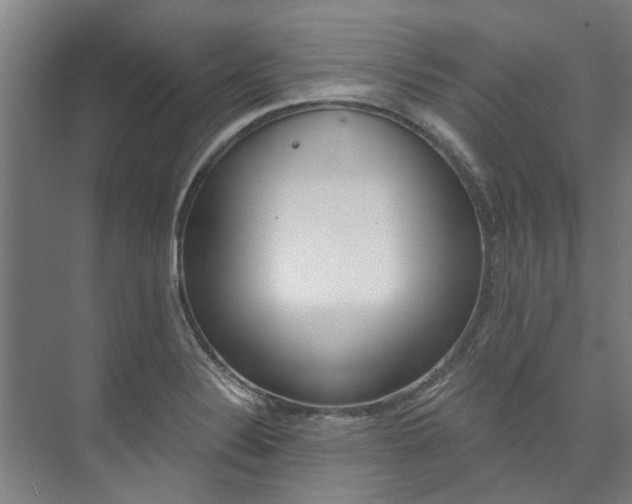 X0000073751324200608031125
