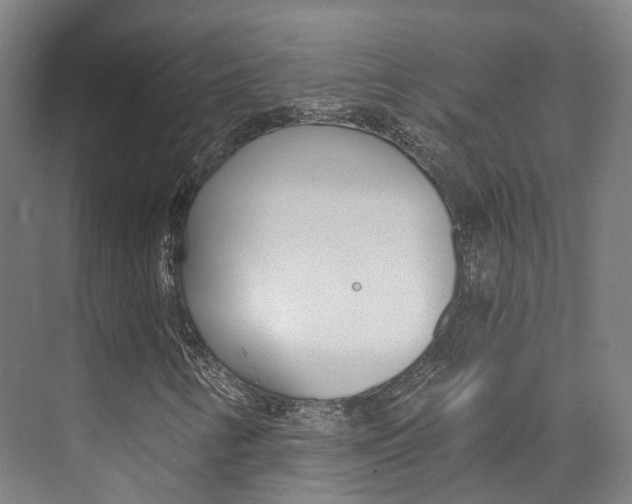 X0000073751346200608031125