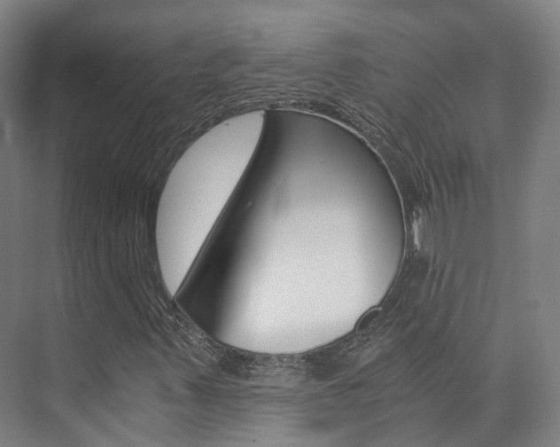 X0000073751347200608031125