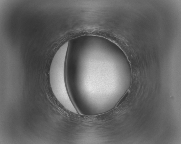 X0000073751349200608031125