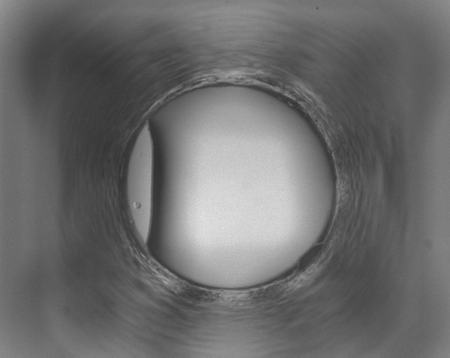 X0000073751353200608031125