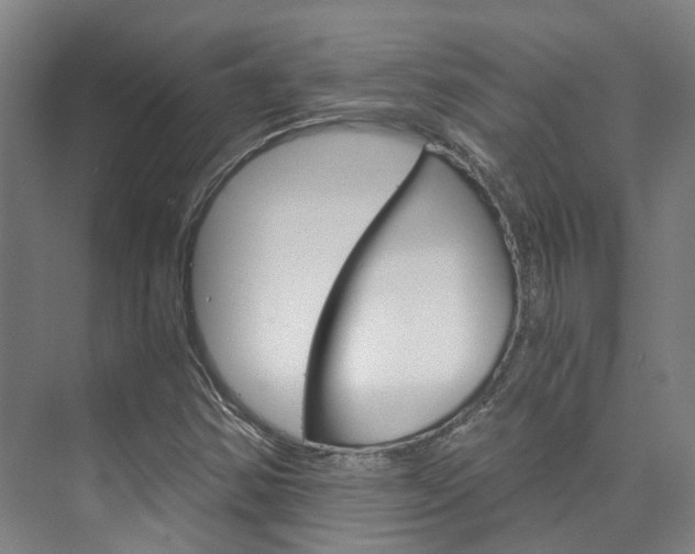 X0000073751354200608031125