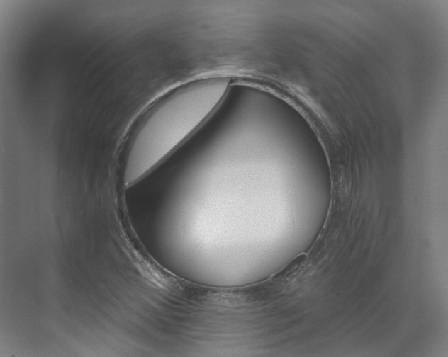 X0000073751356200608031125