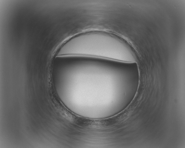 X0000073751359200608031124