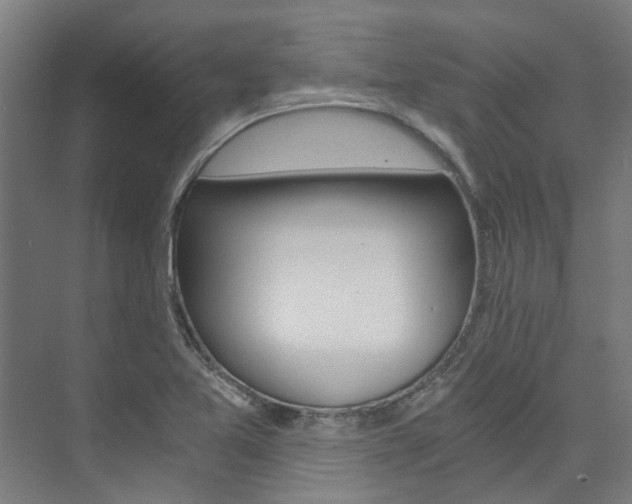 X0000073751365200608031124