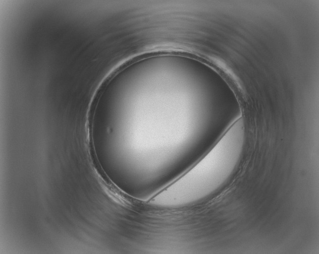 X0000073751372200608031124