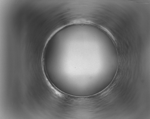 X0000073751387200608031124