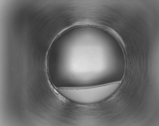 X0000073751388200608031124