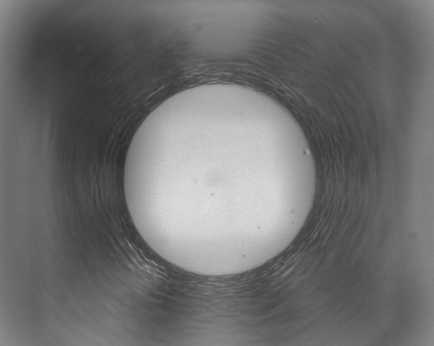 X0000073751394200608031123