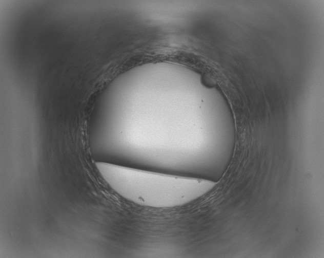 X0000073751397200608031123