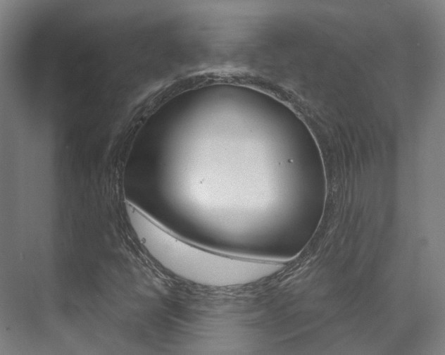 X0000073751398200608031123
