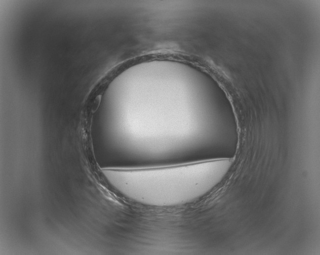 X0000073751400200608031123
