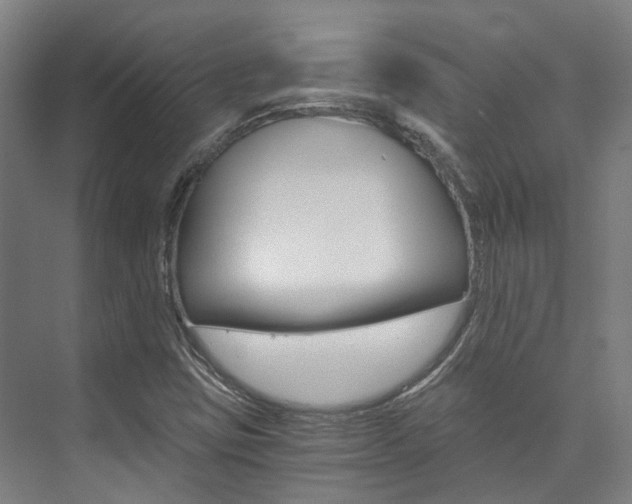 X0000073751403200608031123