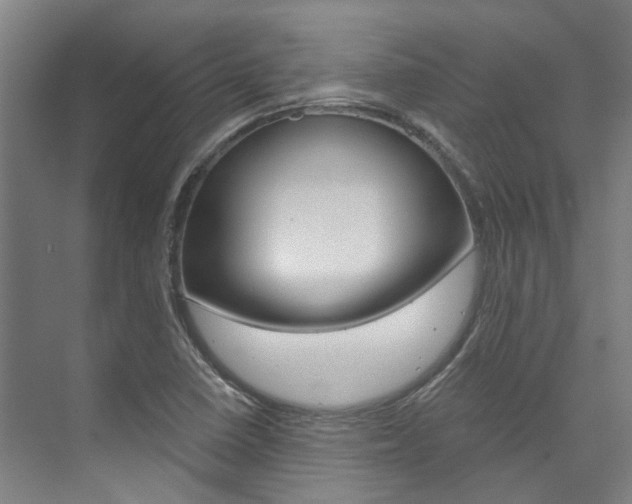 X0000073751410200608031123