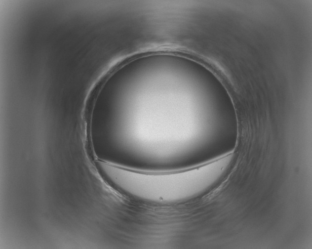 X0000073751414200608031123