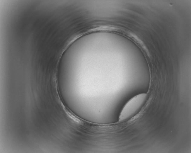 X0000073751425200608031124
