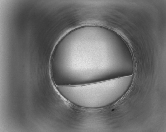 X0000073751440200608031124