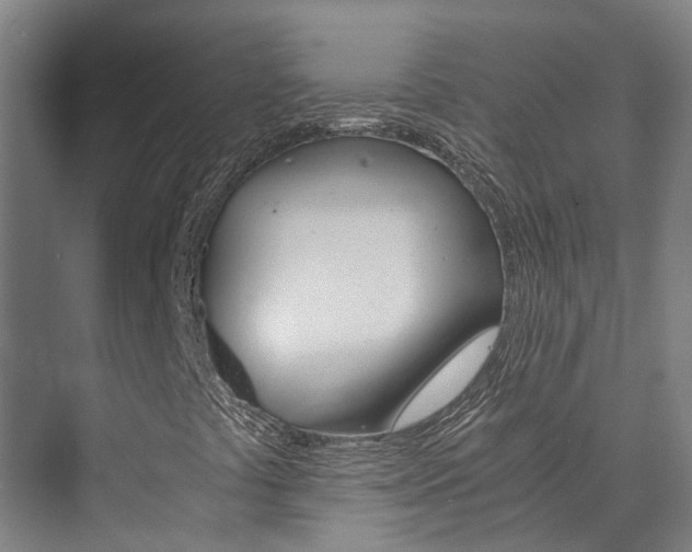 X0000073751441200608031123