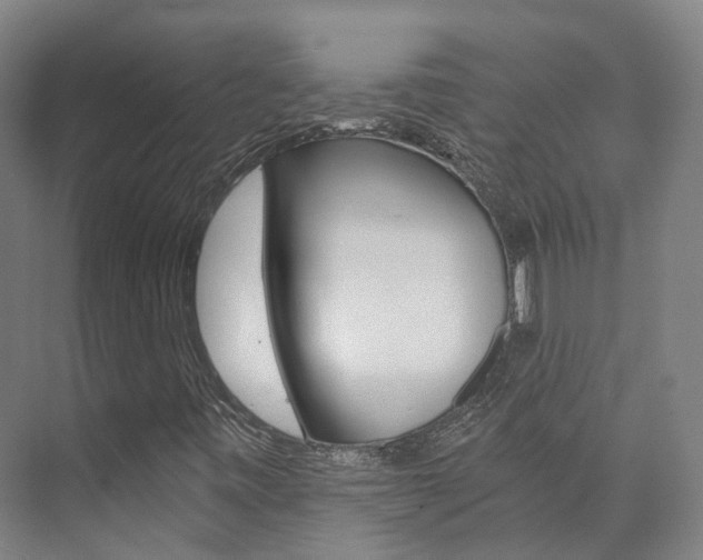 X0000073751443200608031123