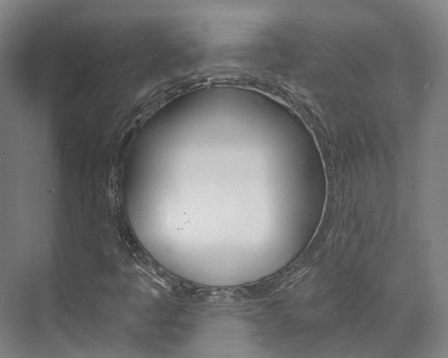 X0000073751445200608031123