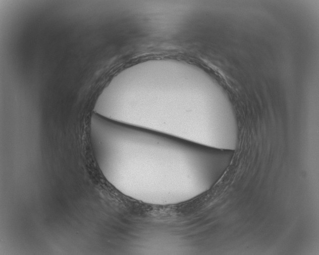 X0000073751447200608031123