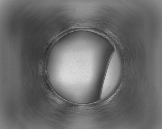 X0000073751449200608031123