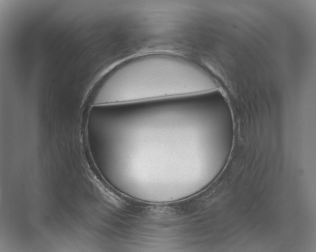 X0000073751452200608031123