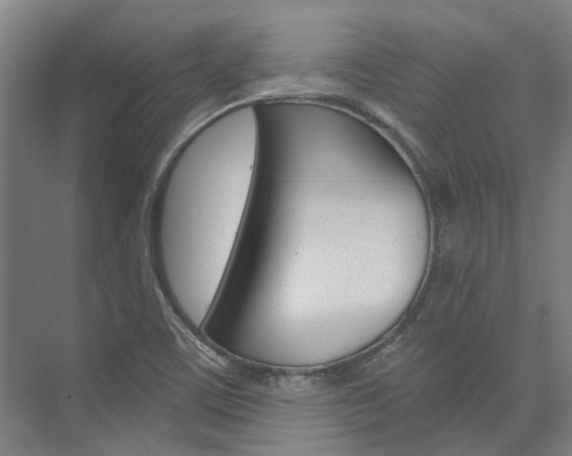 X0000073751459200608031123