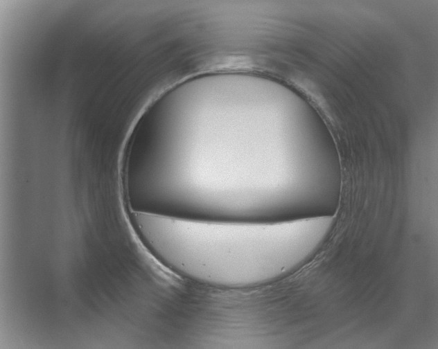 X0000073751475200608031123