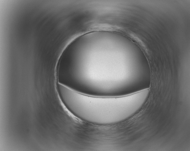 X0000073751479200608031122