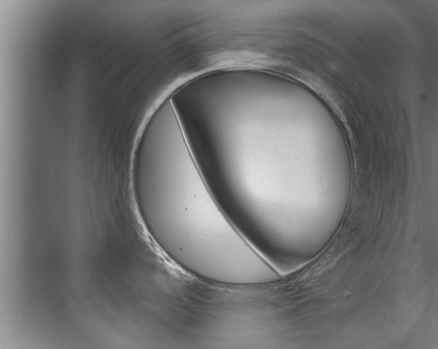 X0000073751488200608031122