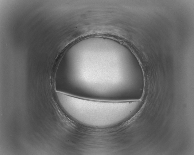 X0000073751497200608031122