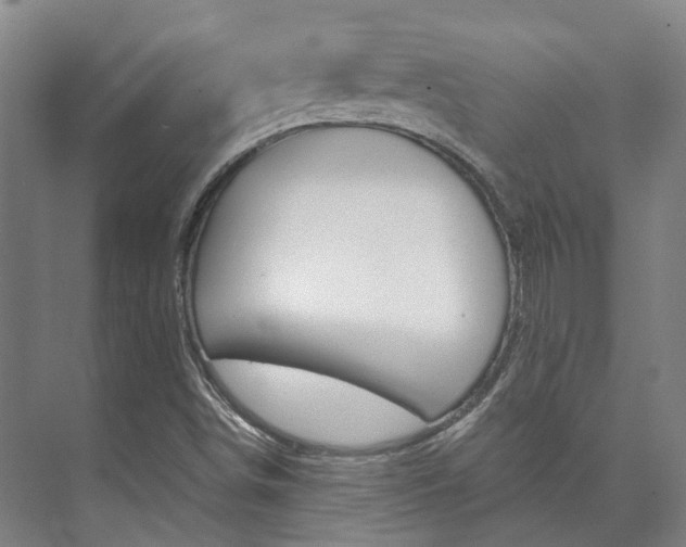 X0000073751498200608031122